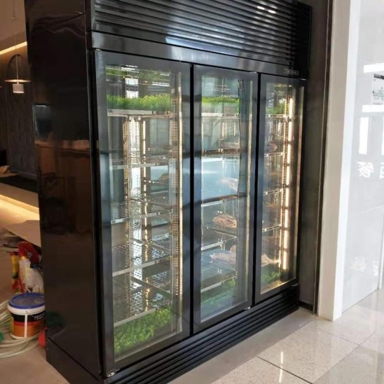 Tiga pintu kaca hitam karat daging paparan kabinet 