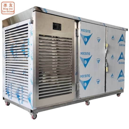 freezer cepat suhu rendah pintu dua mendatar khas yang disesuaikan 